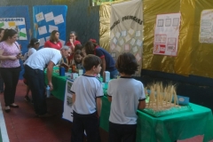 Feira do Conhecimento - Ensino Fundamental 1