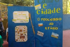 Feira do Conhecimento - Ensino Fundamental 1