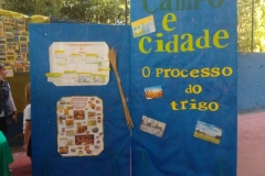 Feira do Conhecimento - Ensino Fundamental 1