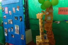 Feira do Conhecimento - Ensino Fundamental 1