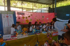 Feira do Conhecimento - Ensino Fundamental 1