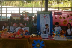 Feira do Conhecimento - Ensino Fundamental 1