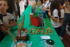 Feira do Conhecimento - Ensino Fundamental 1