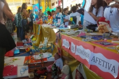 Feira do Conhecimento - Ensino Fundamental 1