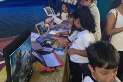 Feira do Conhecimento - Ensino Fundamental 1