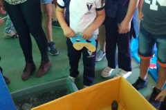 IMG-20190702-WA0090