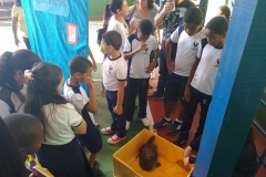 IMG-20190702-WA0094