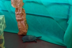 IMG-20190702-WA0096