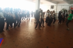 SESC-6